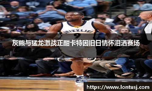 mk体育官网入口